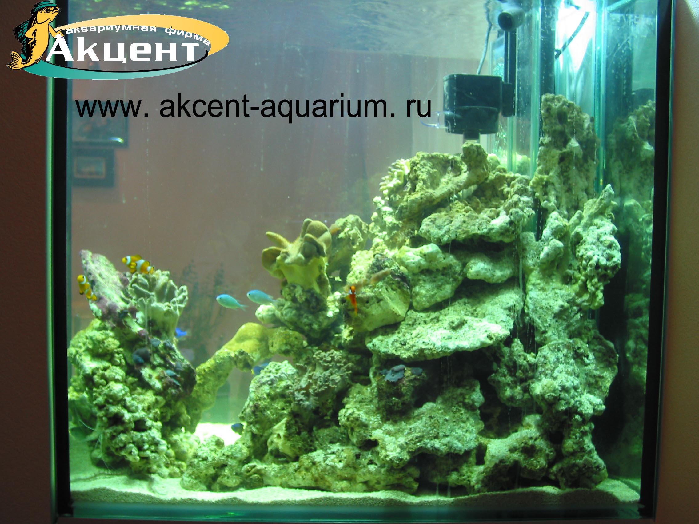 Акцент-аквариум, морской аквариум 400 литров, живые камни, кораллы